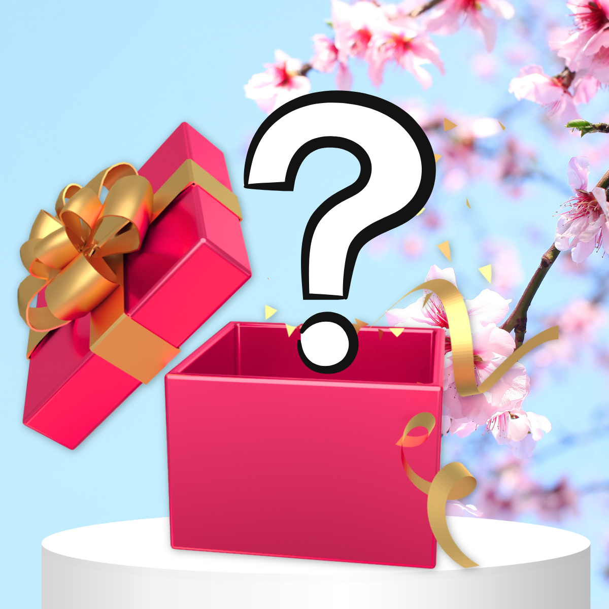 Regalo SORPRESA 🎁