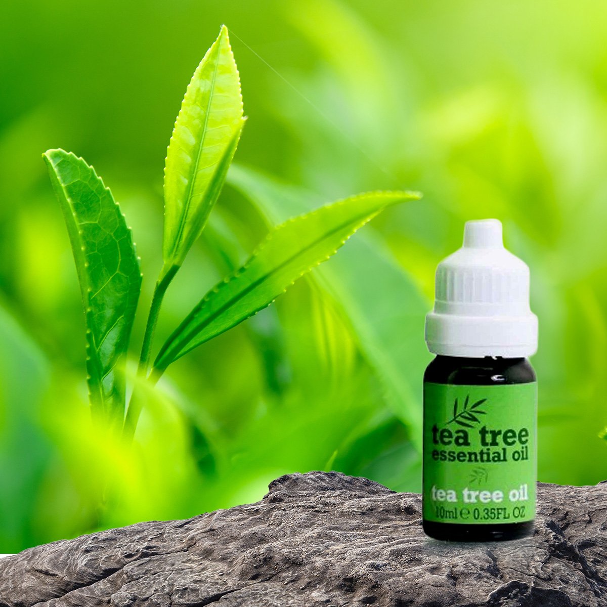 Suero de aceite de árbol de té - 30 ml