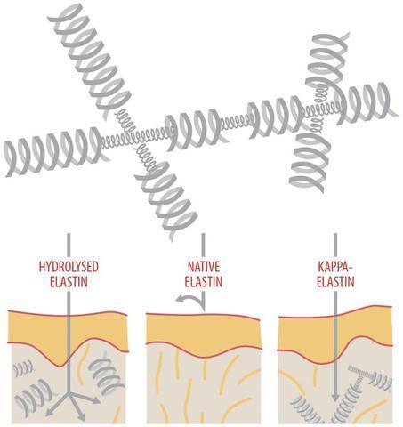 K'Derm Lifter Anti-Ageing Day Cream, 50 ml - Crema de Día antiedad