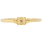 Conjunto de Plata Bañada en Oro con Diamante Rojo ( Pendientes +Anillo )