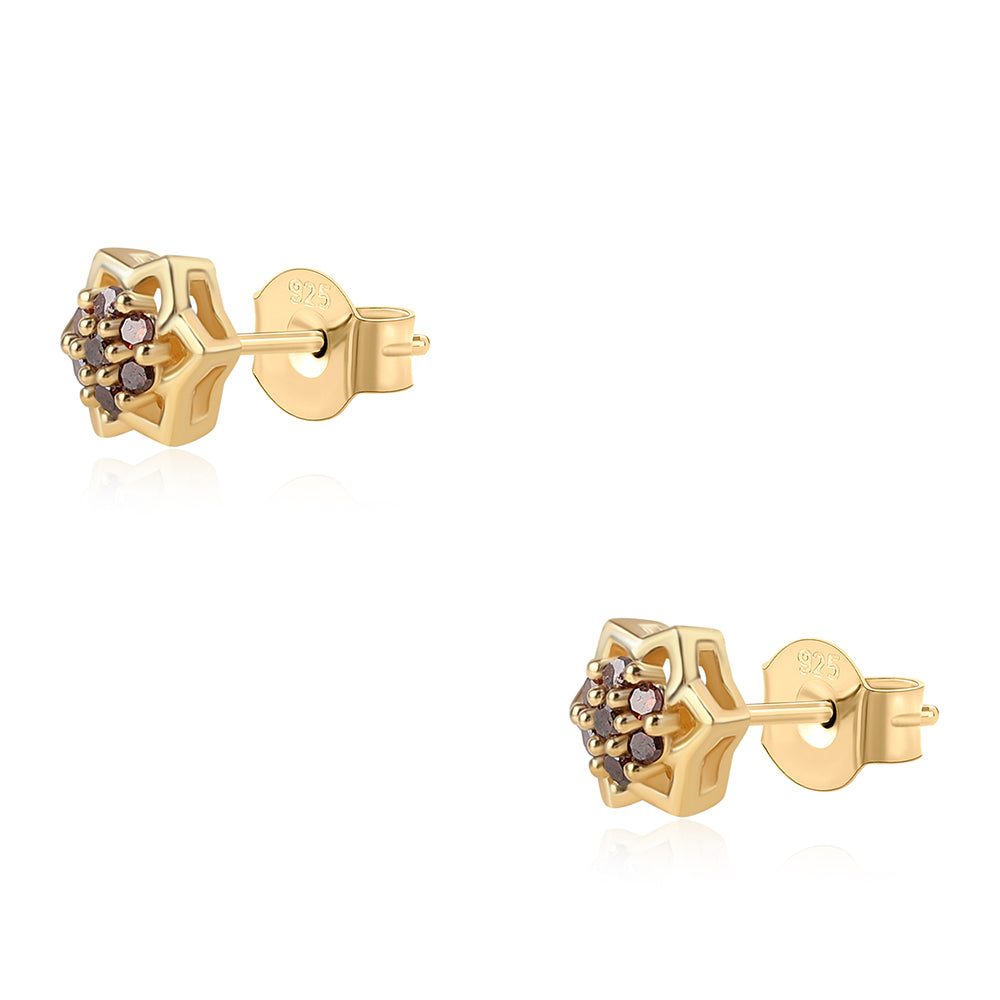 Pendientes de Plata Bañada en Oro con Diamante Rojo 5 