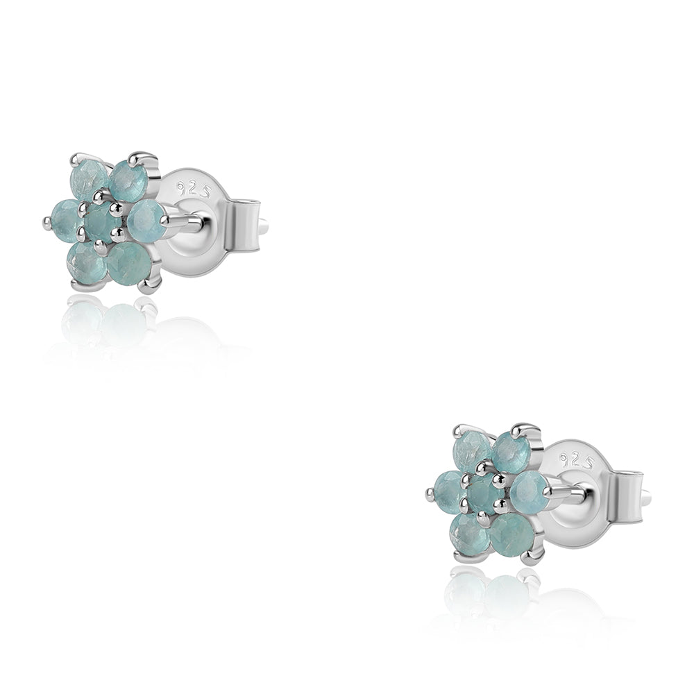 Pendientes de Plata con Grandidierita 1 