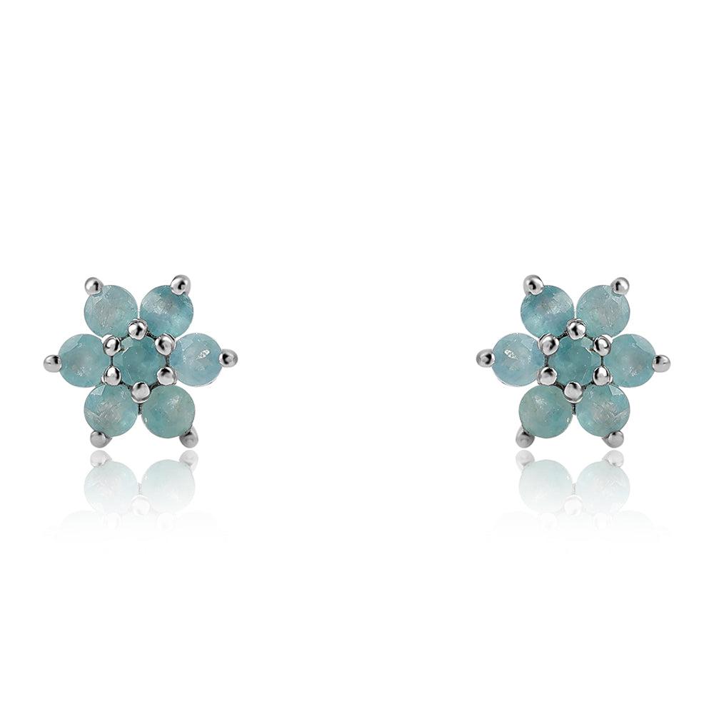 Pendientes de Plata con Grandidierita 3 