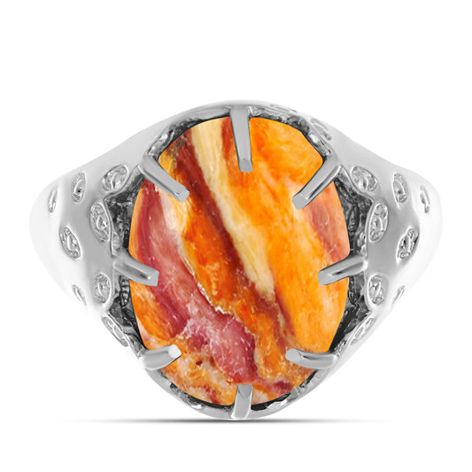 Anillo de Plata con Jaspe Garra de León
