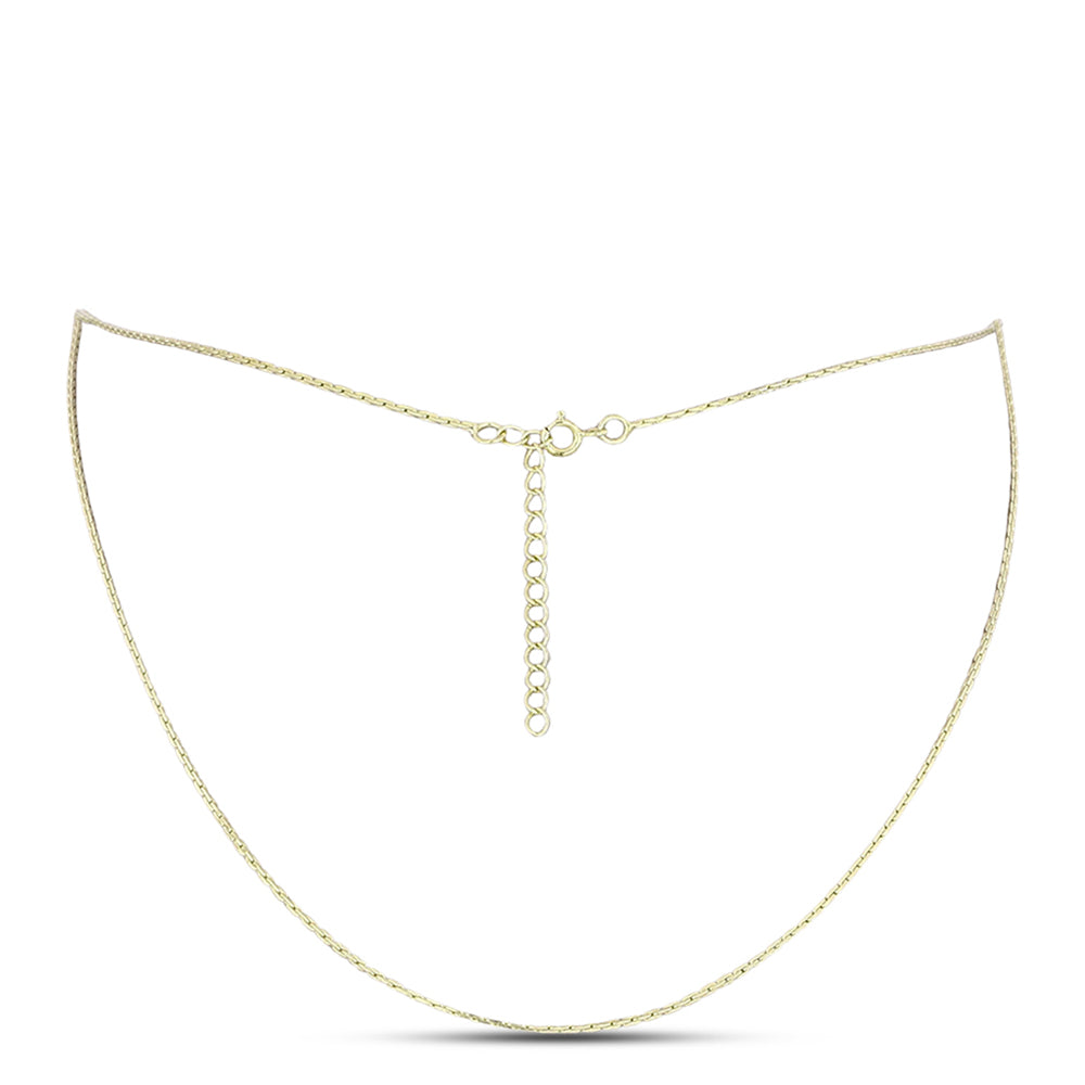 Cadena de Plata Bañada en Oro