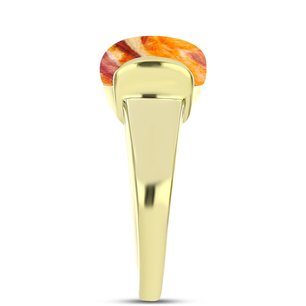 Anillo de Plata Bañada en Oro con Jaspe Garra de León 4 
