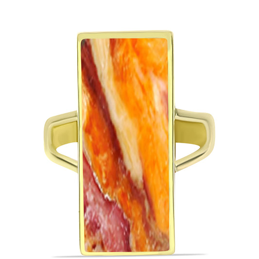 Anillo de Plata Bañada en Oro con Jaspe Garra de León