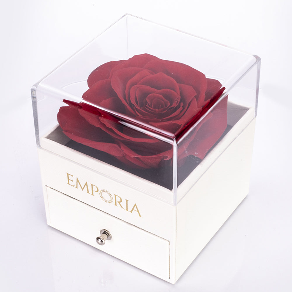 Caja de joyas rosa eterna con collar "I love you"