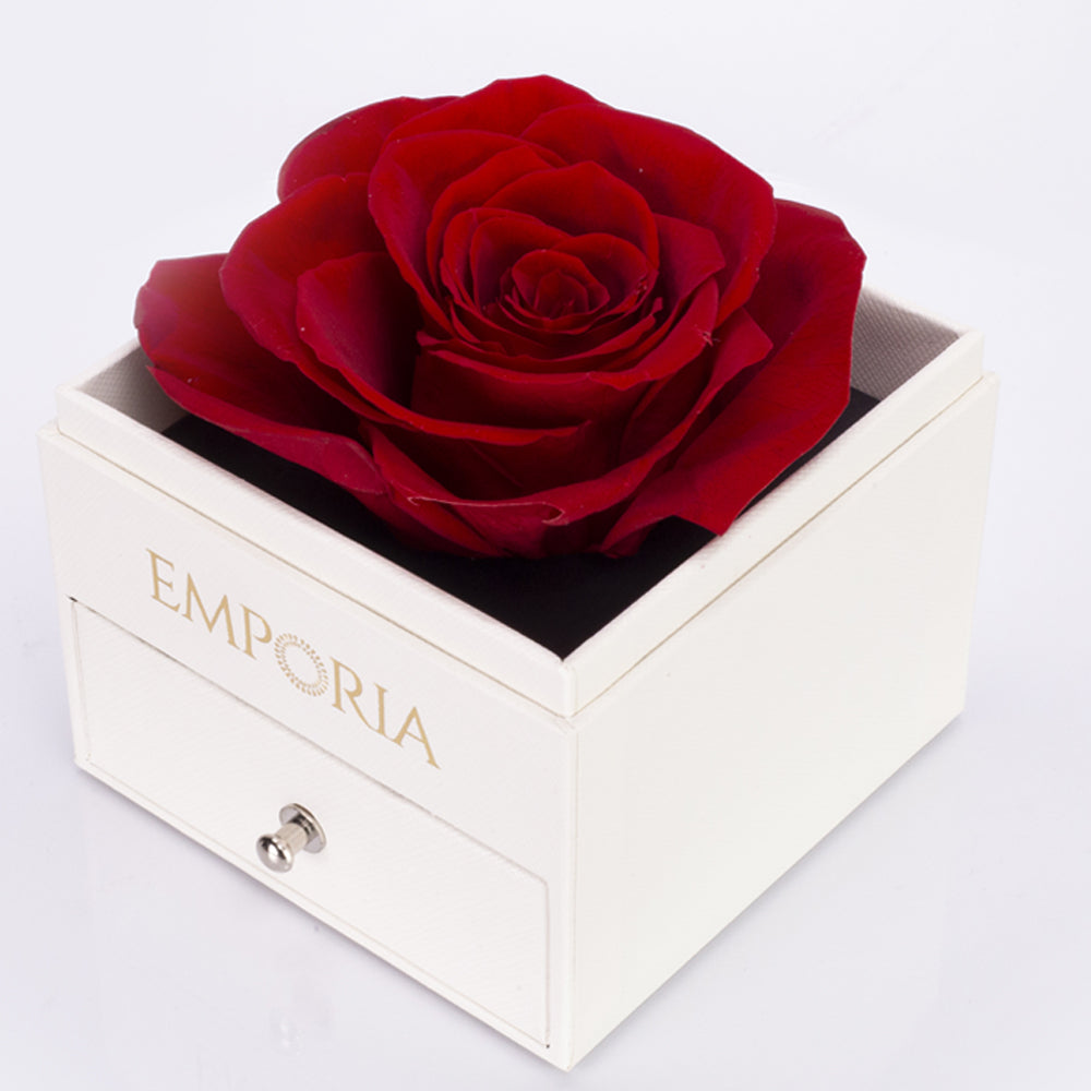 Caja de joyas rosa eterna con collar "I love you"