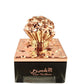 100 ml Eau de Perfume Rose Kashmiri Oriental Floral Fragancia para Hombres y Mujeres
